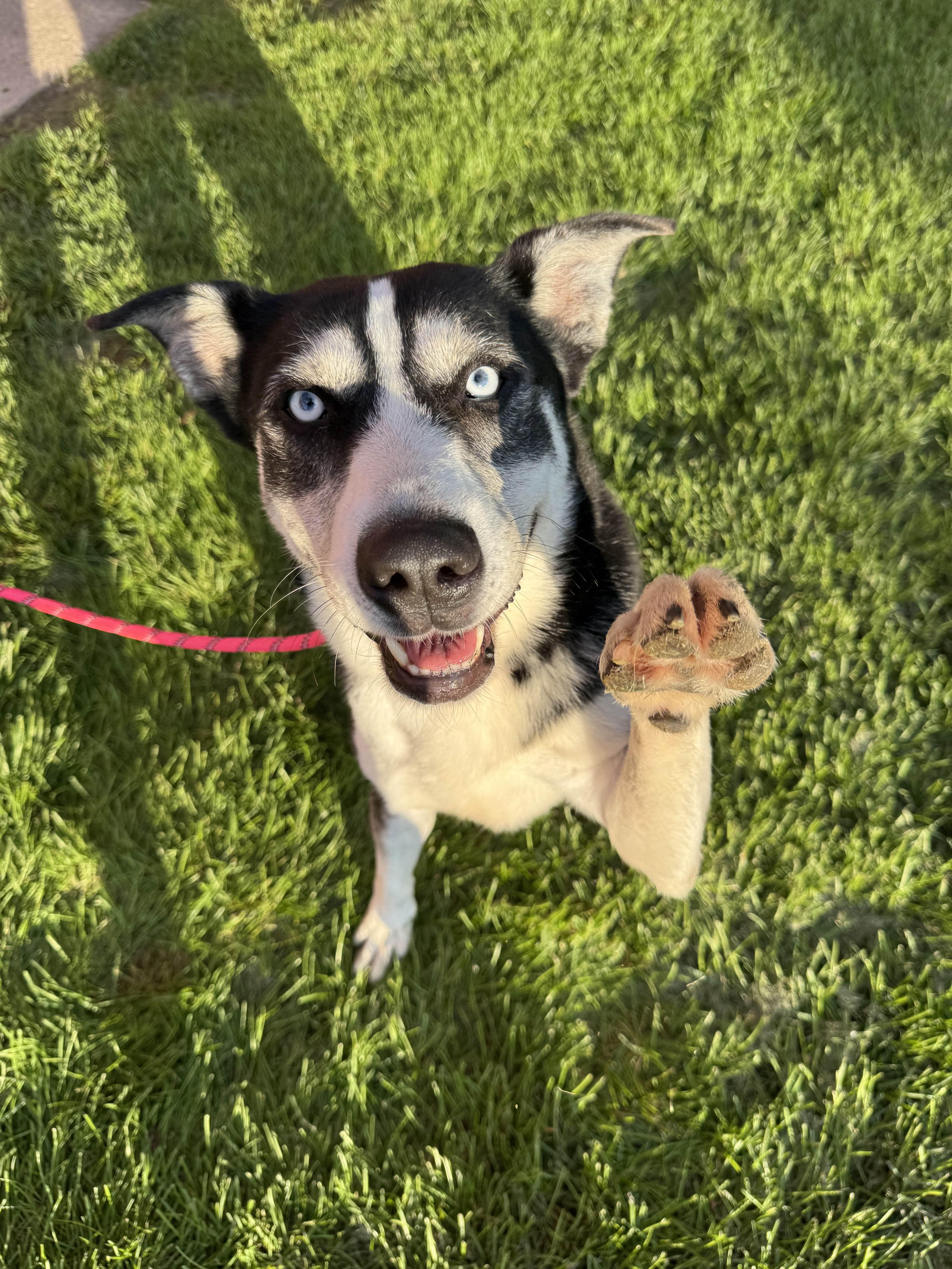 Corbin Bleu thumbnail 6