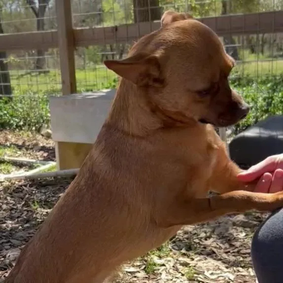 Sweet Boy thumbnail 5