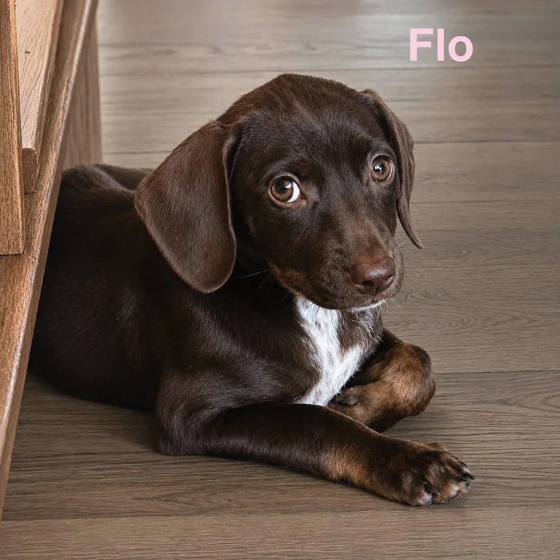 Flo thumbnail 2