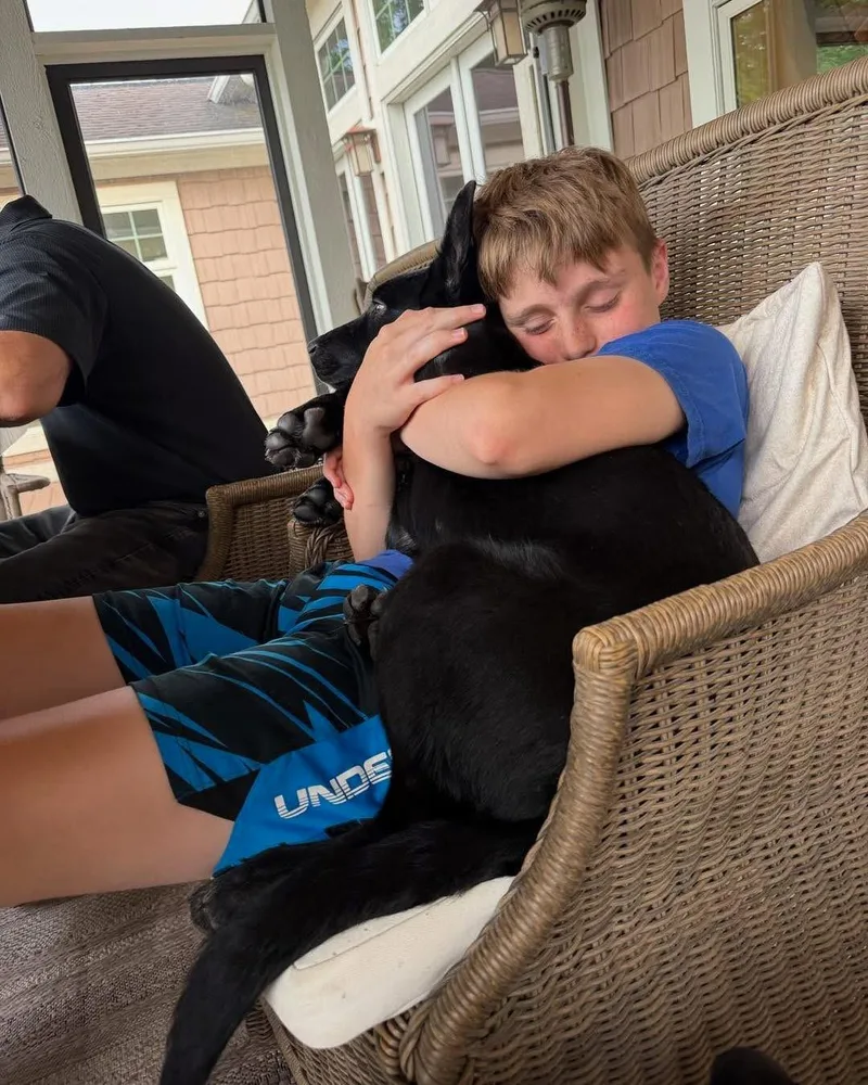 A baby large-sized female Black German Shepherd Dog dog named Rosie for adoption in New Rochelle, NY