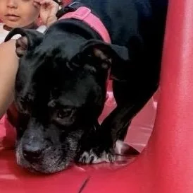 Meet Nala  Super thumbnail 3