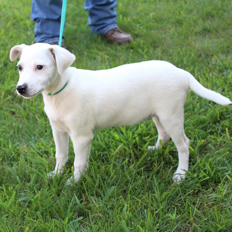 Tucker