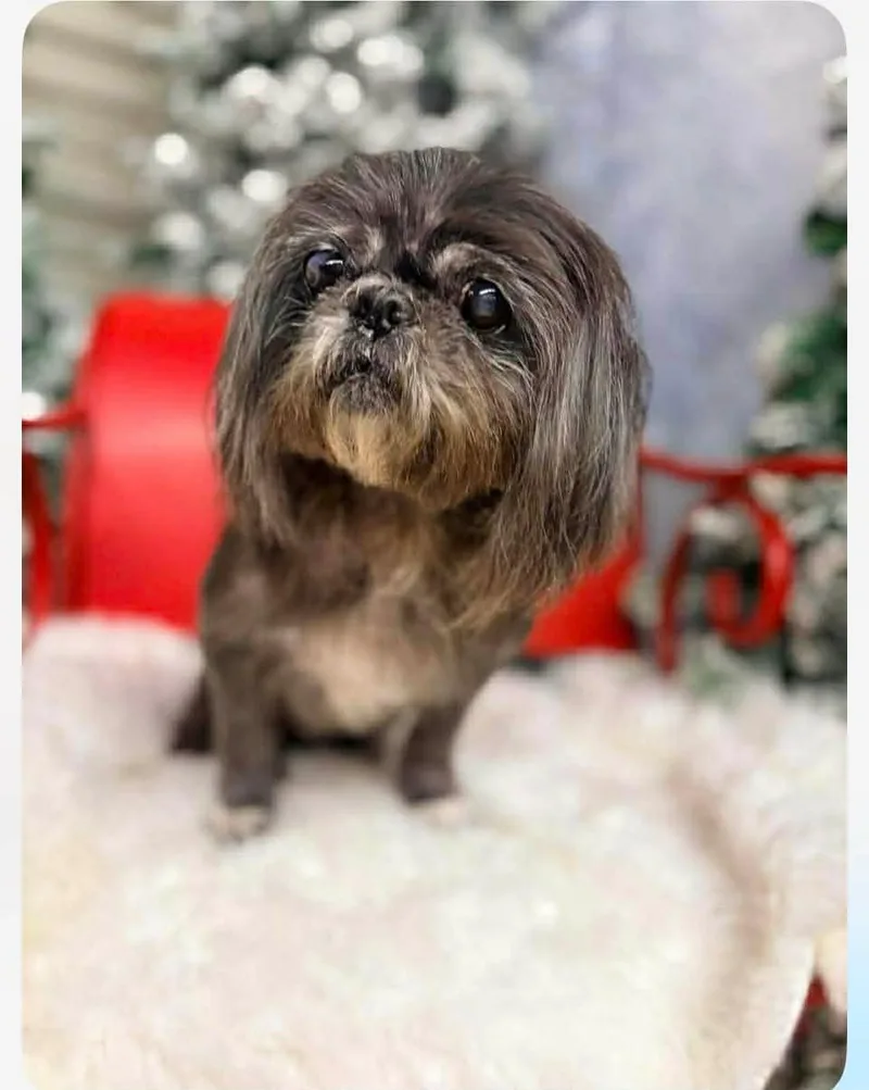 Sophie Gargaro thumbnail 2