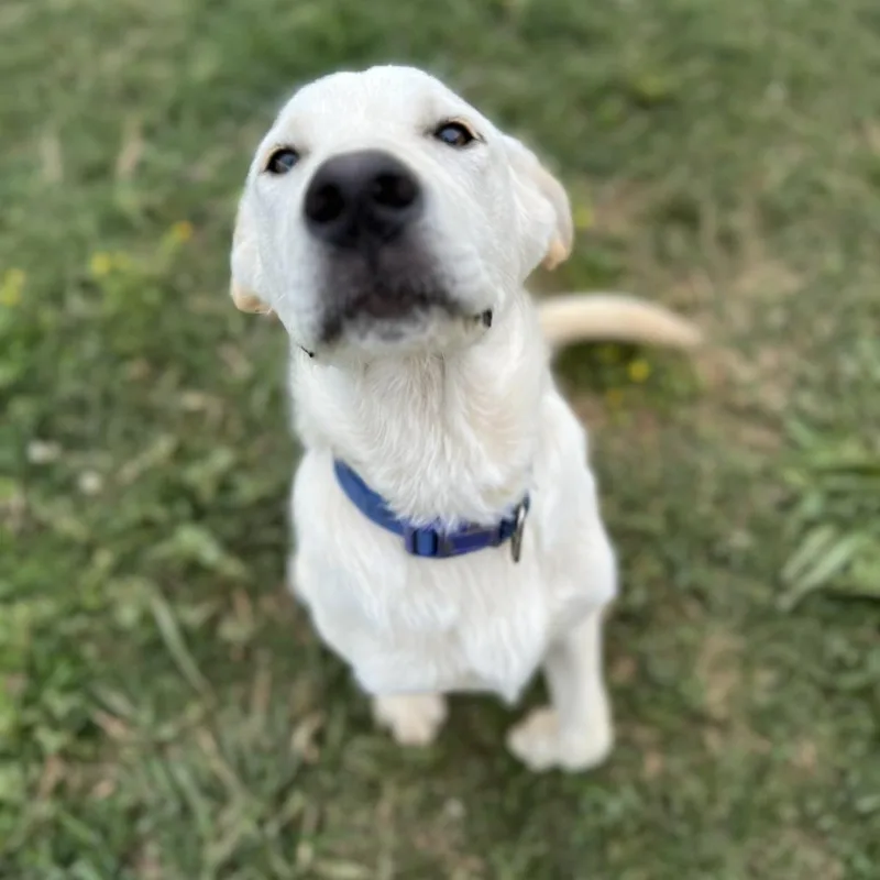 Murphy