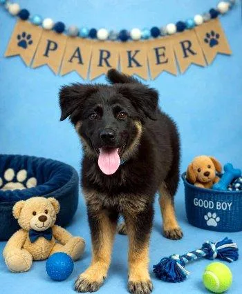 Parker thumbnail 3