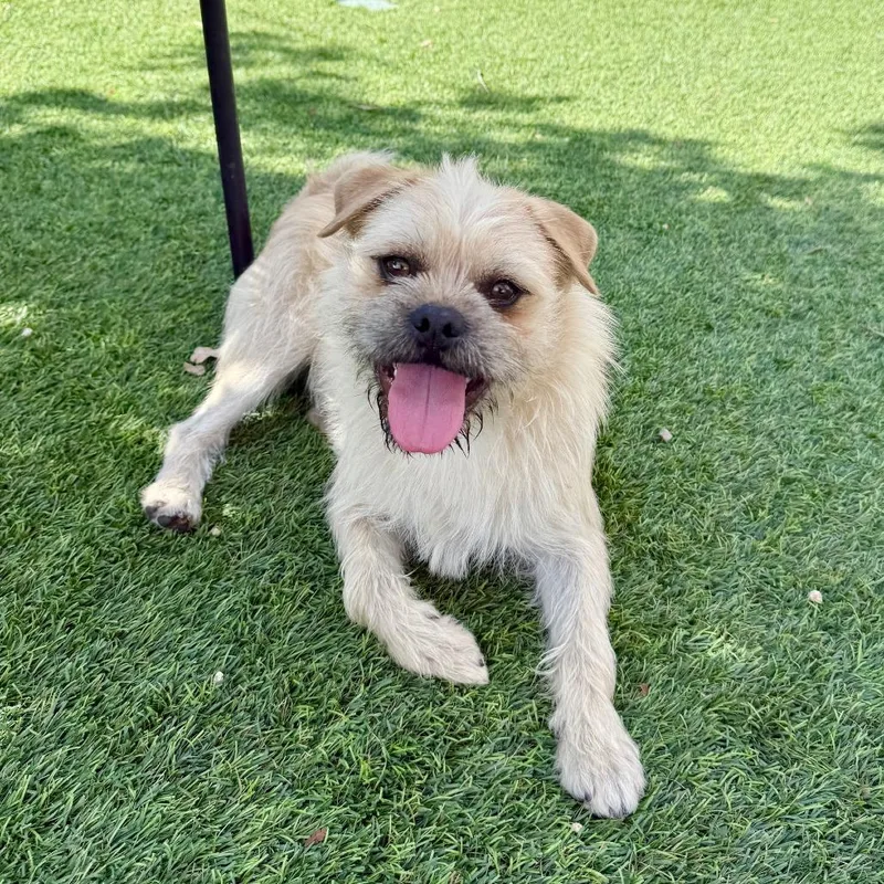 Stirling thumbnail 2