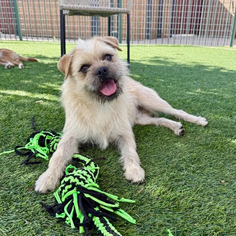 Stirling thumbnail 3