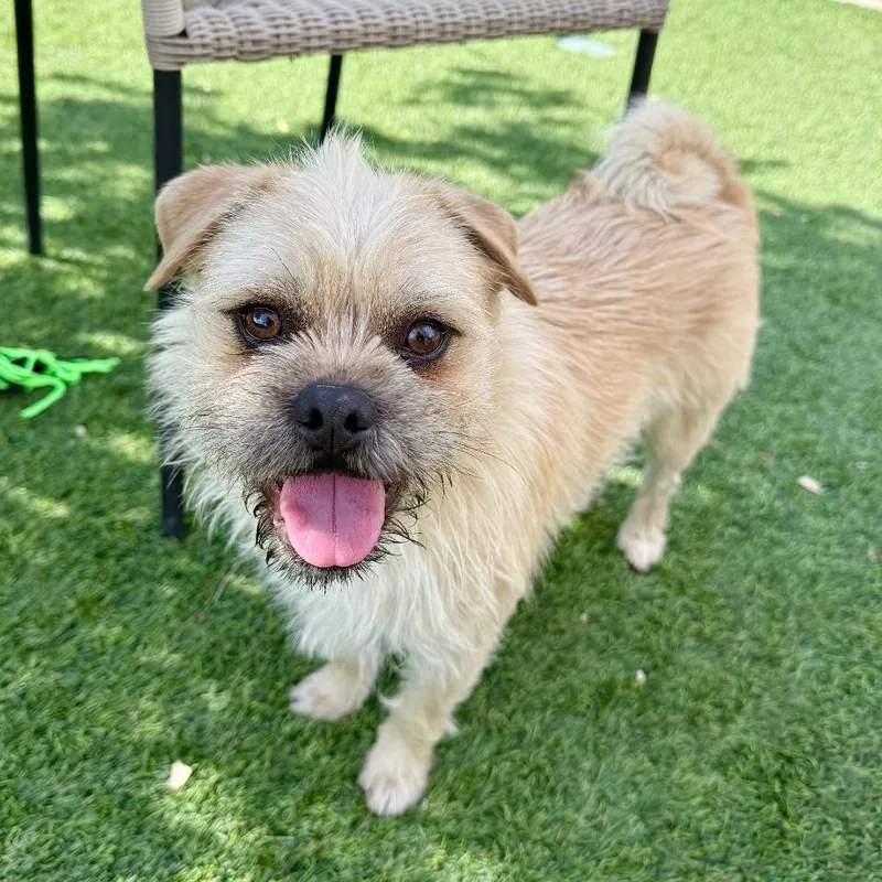 Stirling thumbnail 4