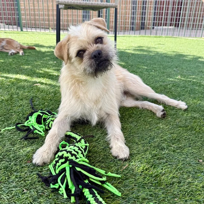 Stirling thumbnail 5