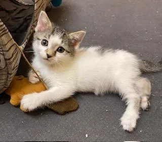 Little Bit Of Honey thumbnail 2