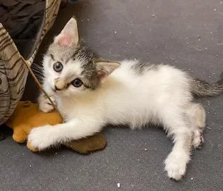 Little Bit Of Honey thumbnail 3