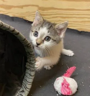 Little Bit Of Honey thumbnail 4