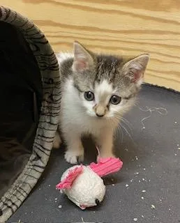 Little Bit Of Honey thumbnail 5