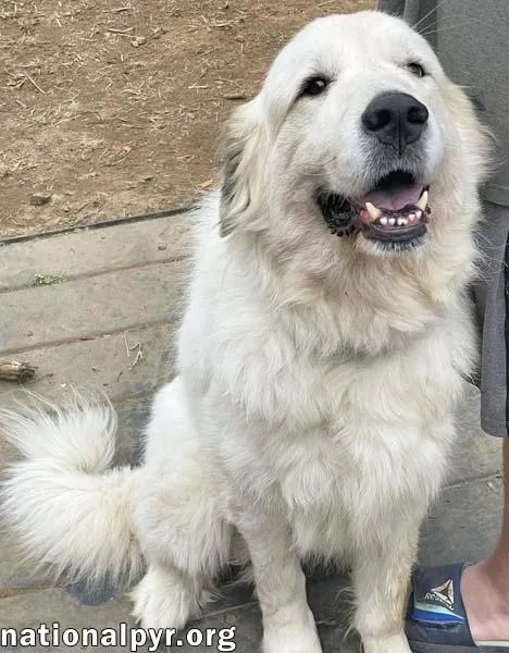 Ted In Tn  thumbnail 2