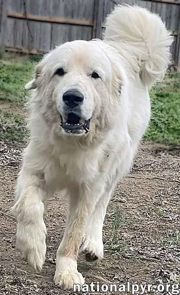 Ted In Tn  thumbnail 3