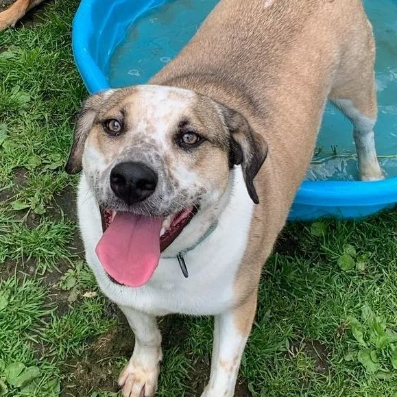 Marvelous Moe thumbnail 3