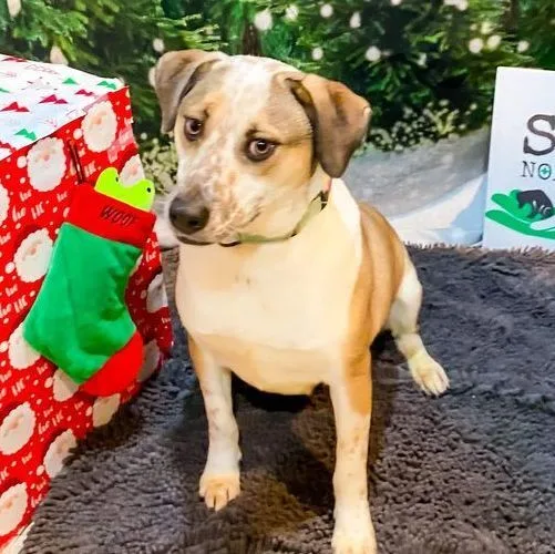 Marvelous Moe thumbnail 5