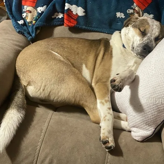 Marvelous Moe thumbnail 6