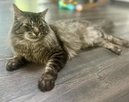 Pepper Jones
