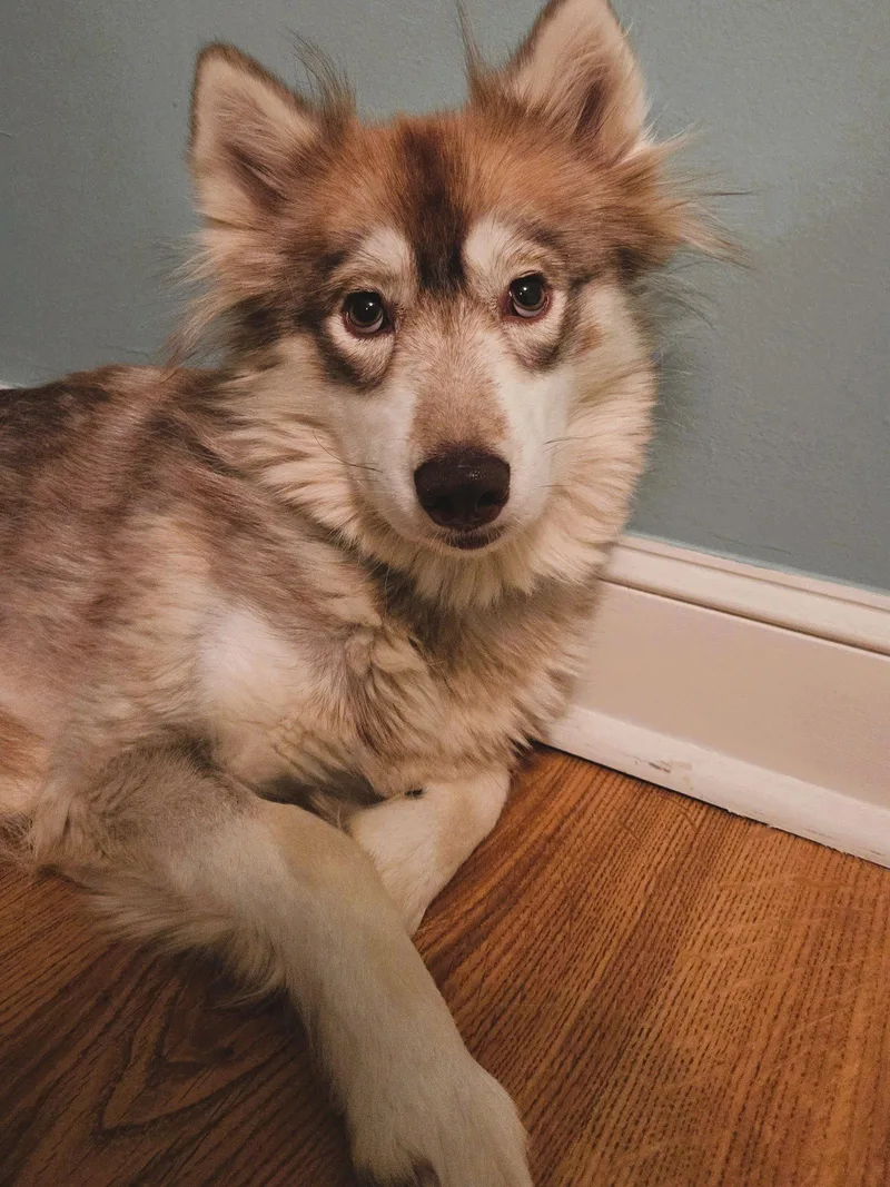 Heidi thumbnail 3