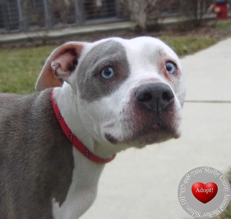 Spot Yrly thumbnail 3