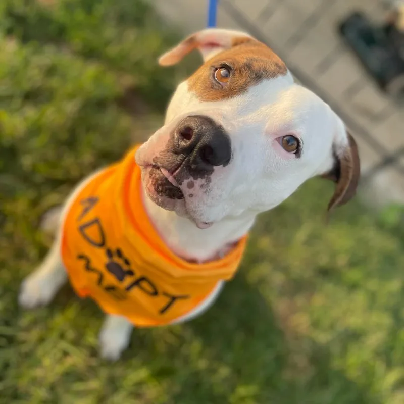 Roscoe P Coltrain thumbnail 2