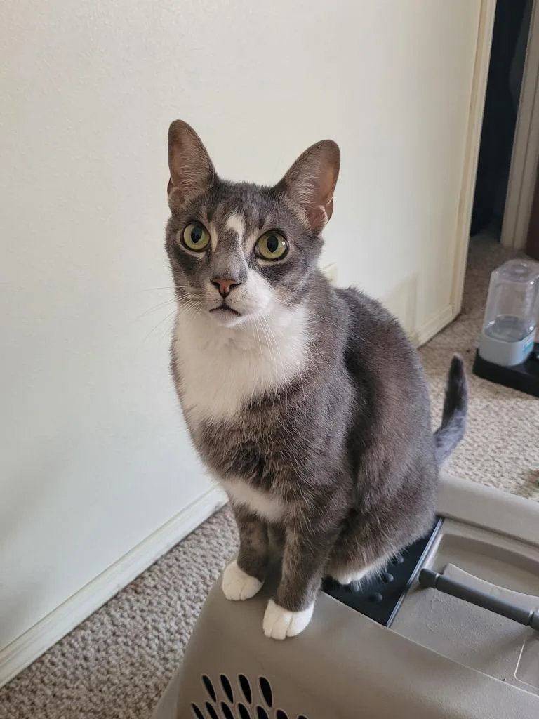 George