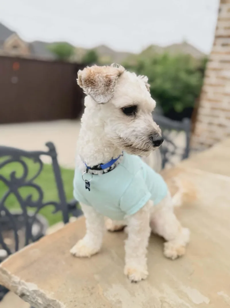 Milo