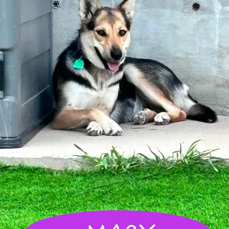 Macy
