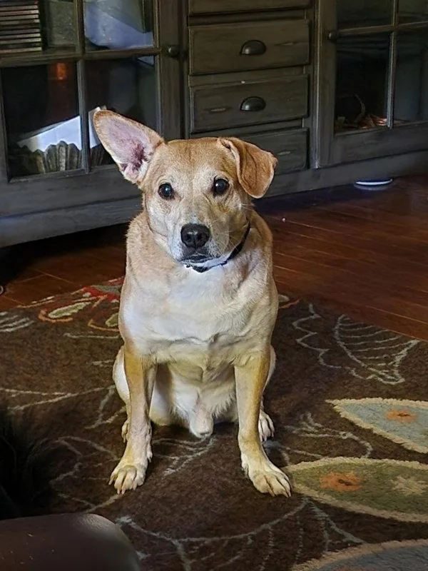 Watson