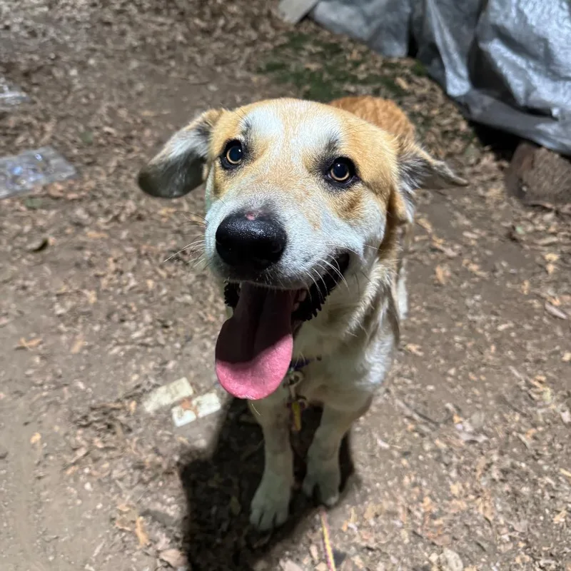 George Clooney thumbnail 2