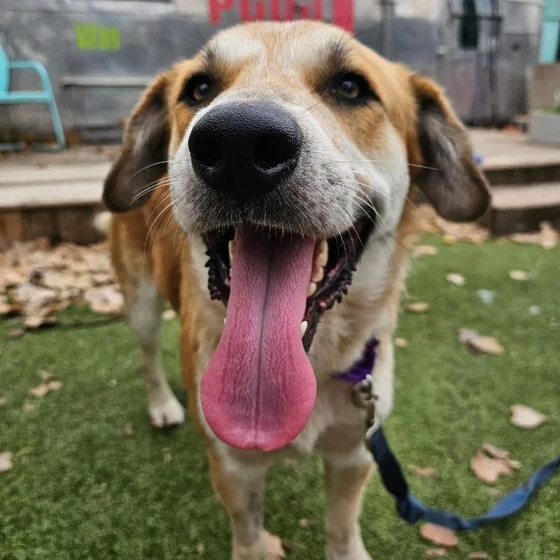 George Clooney thumbnail 3