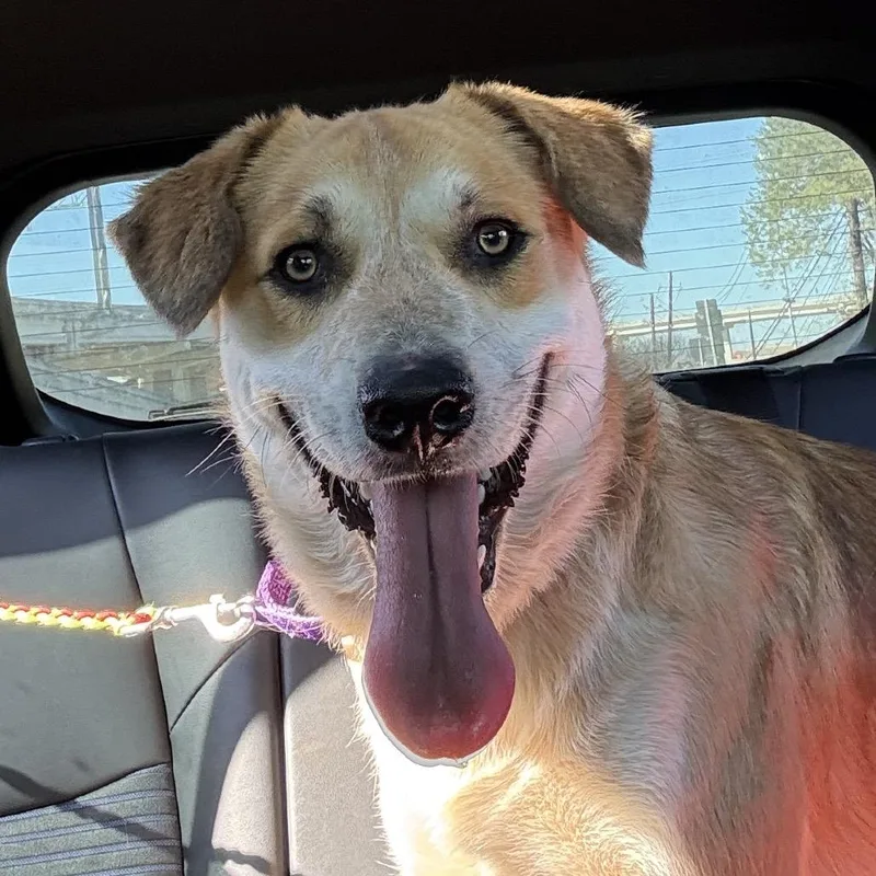 George Clooney thumbnail 5