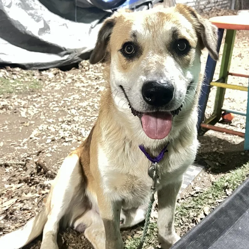 George Clooney thumbnail 6