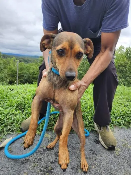 Sweet Baby Ray thumbnail 4