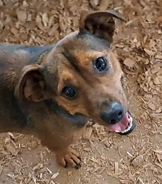 Sweet Baby Ray thumbnail 5