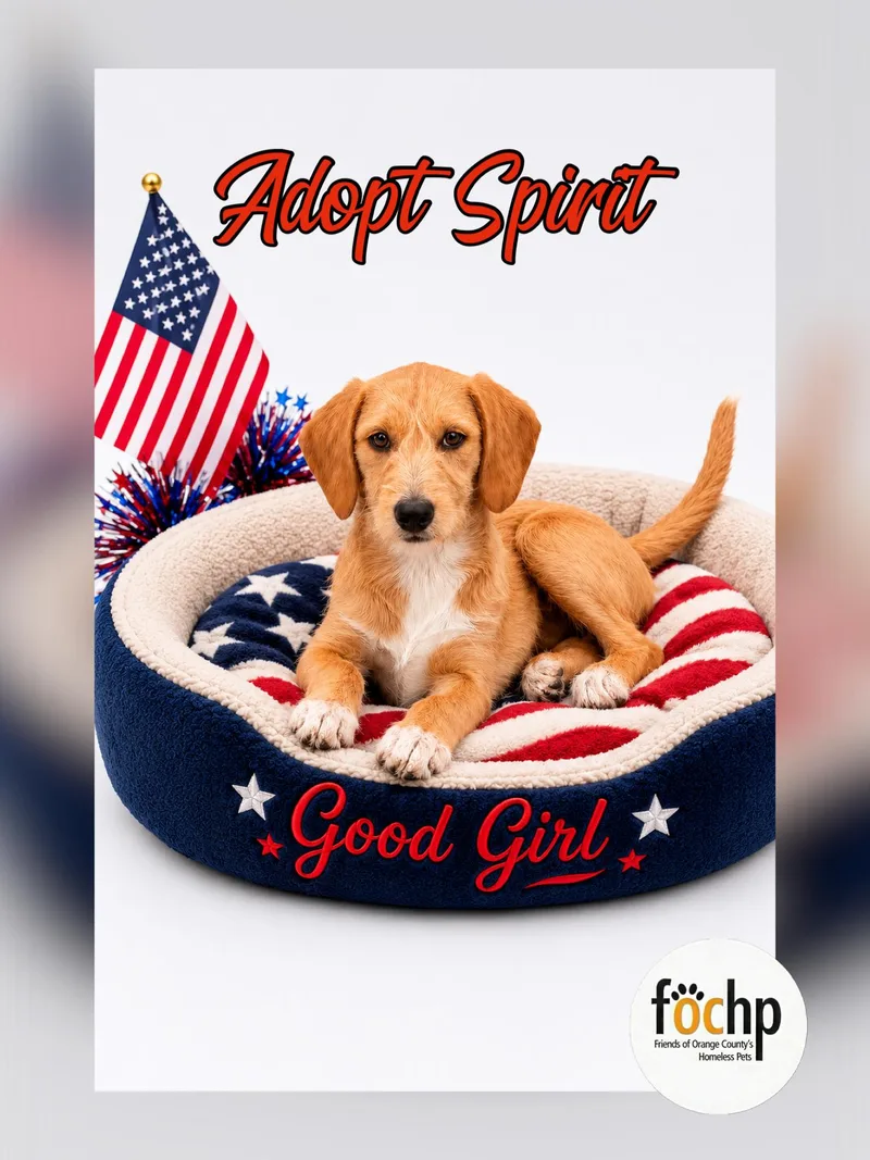 Spirit