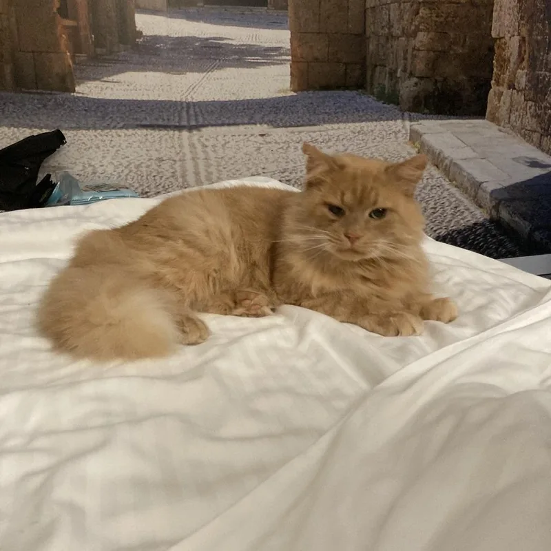 Bilyash  Ukraine thumbnail 4