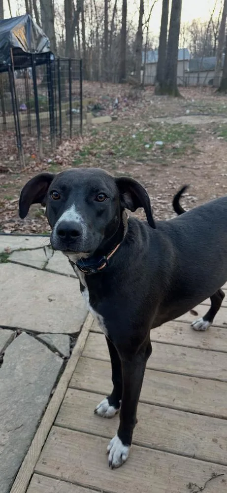 Clementine thumbnail 5