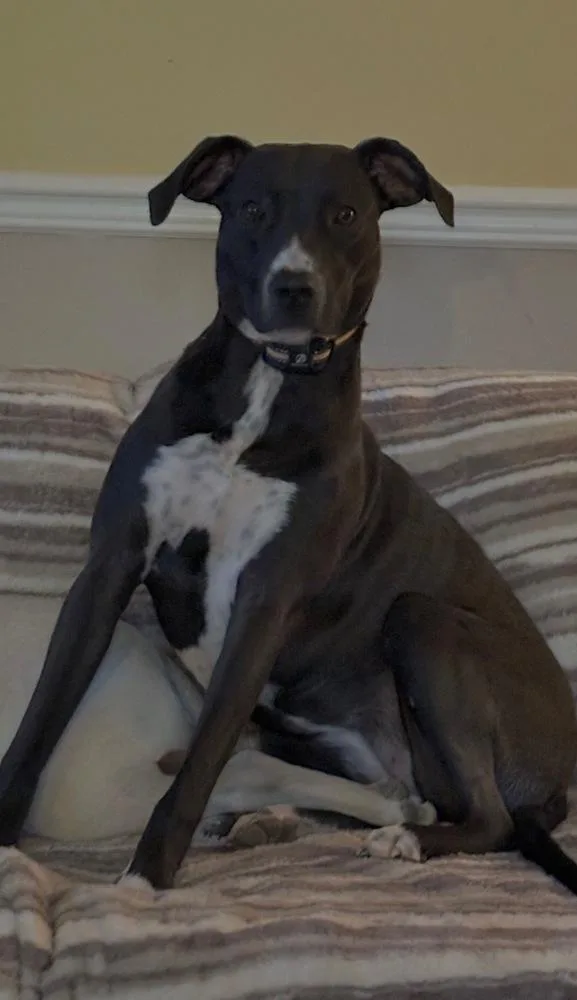 Clementine thumbnail 7