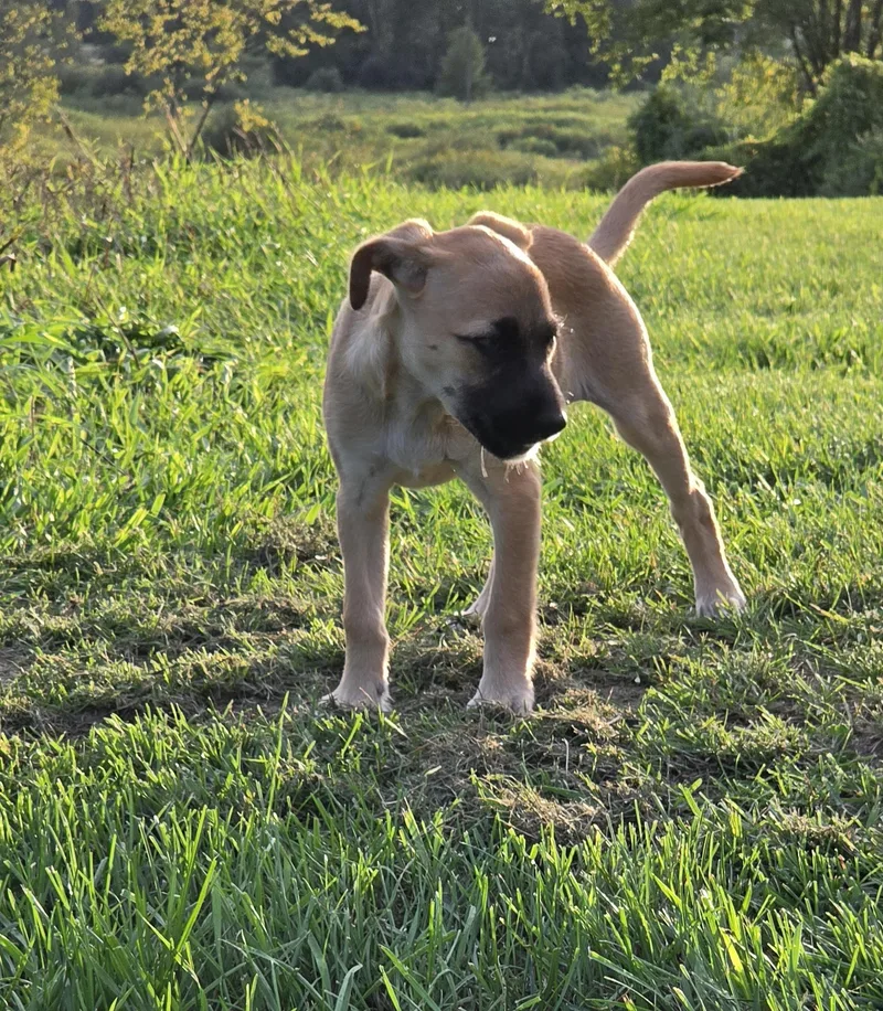 Thelma thumbnail 5