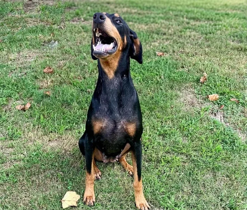 Lucy