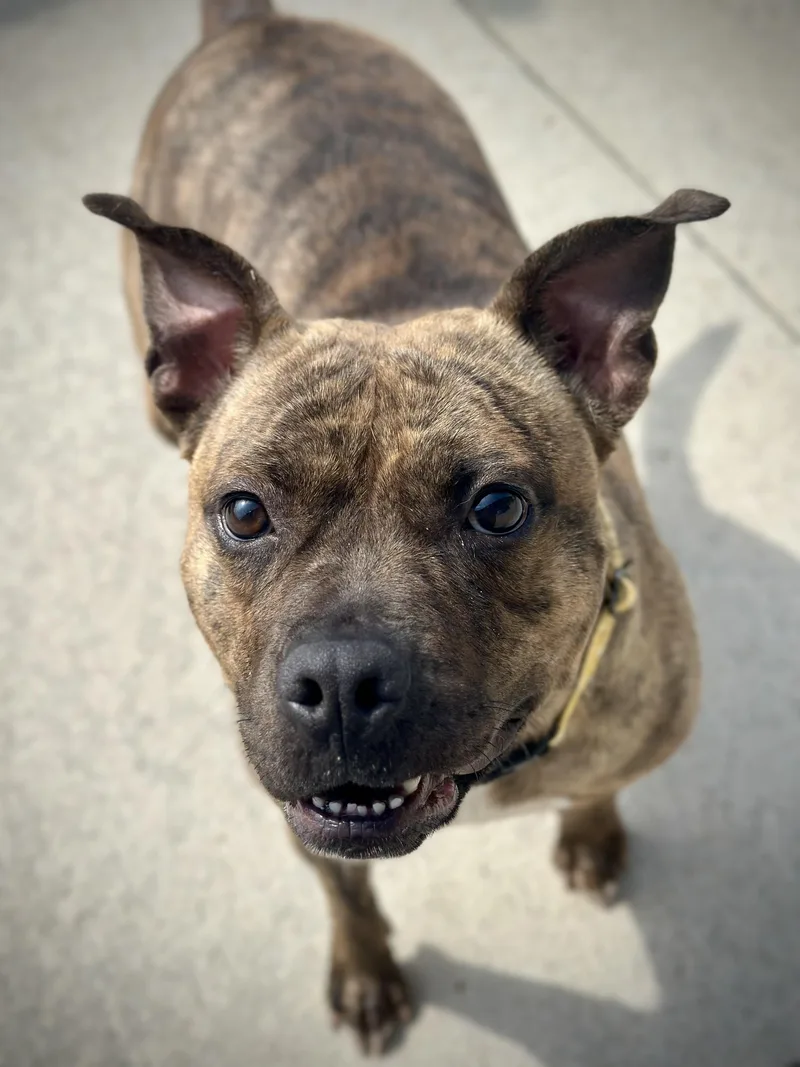 Polly Pocket thumbnail 2