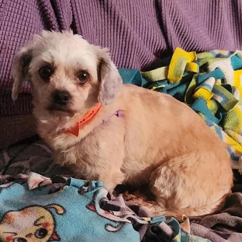 Lucky  Missouri thumbnail 2