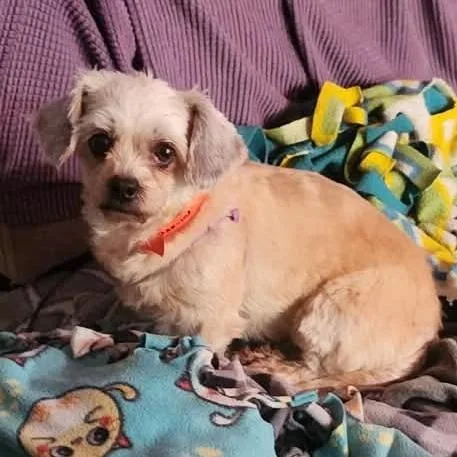 Lucky  Missouri thumbnail 3