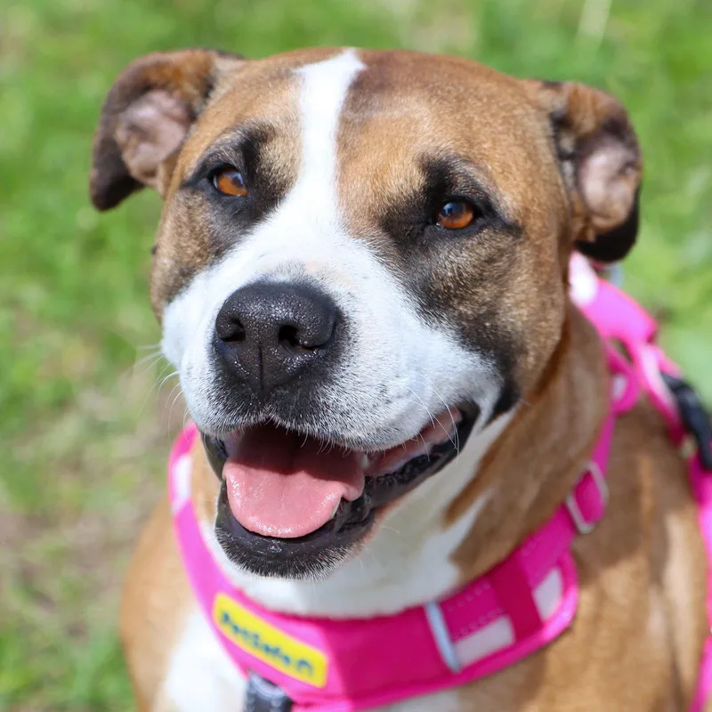 Kiona Skye Cl thumbnail 2