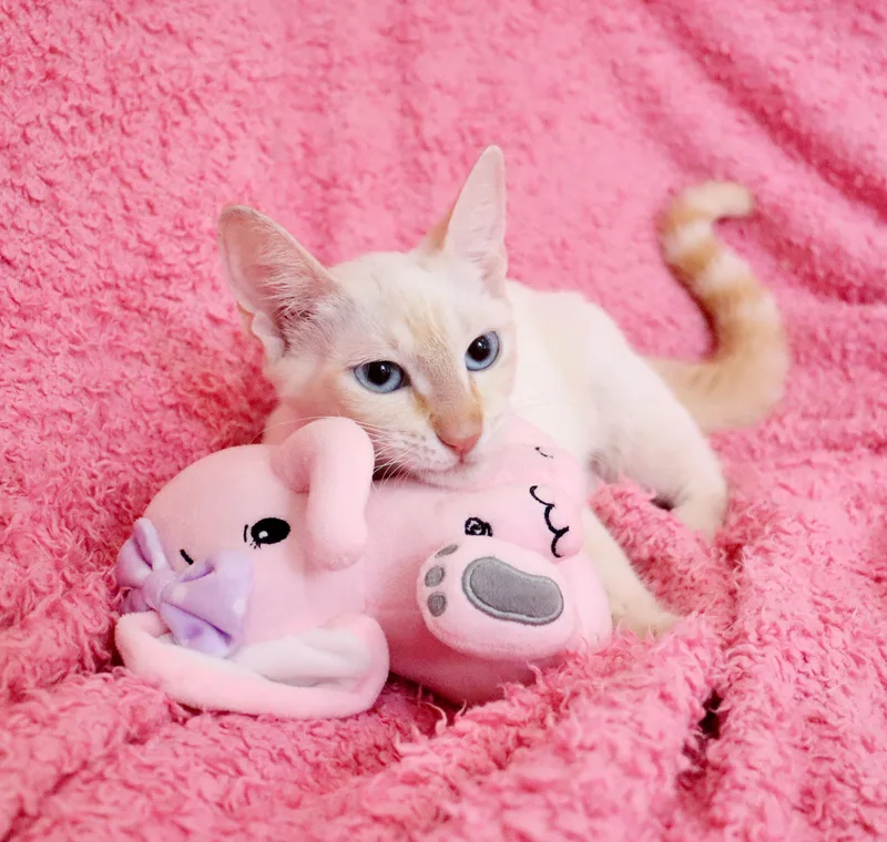 Eloise thumbnail 5