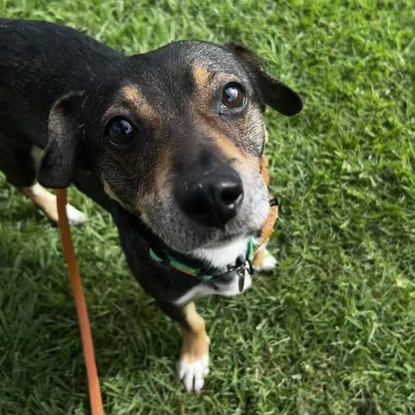 Lightning Mcqueen thumbnail 2