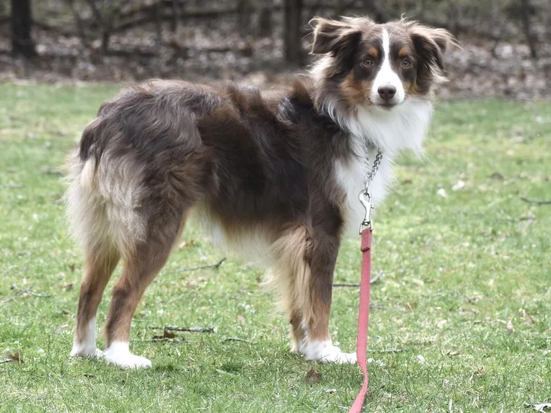 Zin Nka Finnegan thumbnail 4