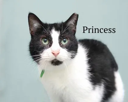 Princess